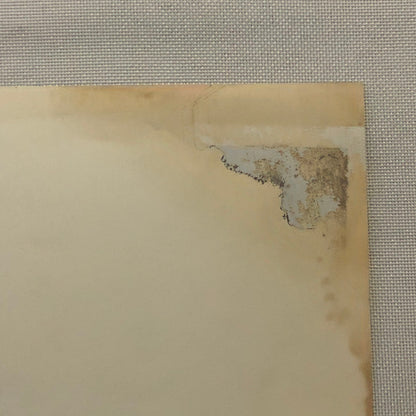 Vintage Horse Racing Photo Photograph TUROFSKY