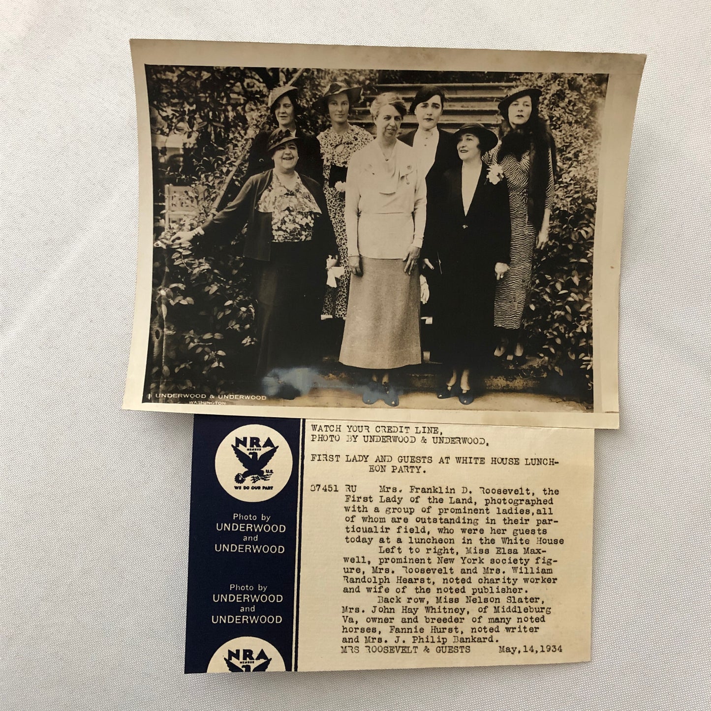Press Photo Photograph Eleanor Roosevelt First Lady 1934 White House Luncheon