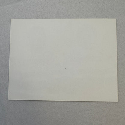 Rothmans Porsche Racing Driver Photo Photograph John Spiller Saeed Al Hajri