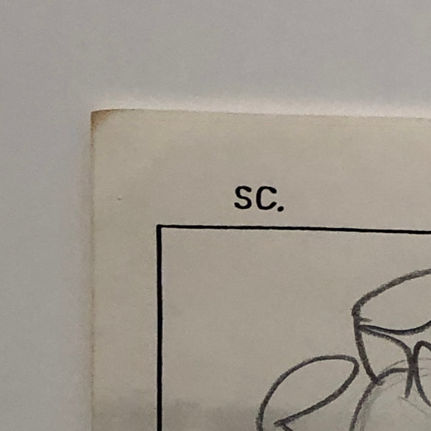 ANIMANIACS Animation Storyboard Illustration Drawing Sketch Story Board Art