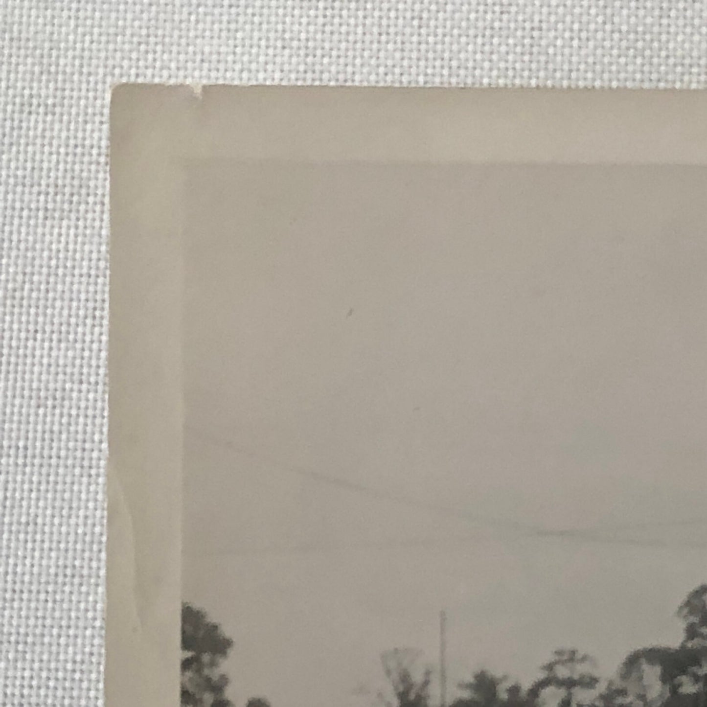 Vintage Car Racing Photo Photograph Print Alfa Romeo & Italia Cars 1952 