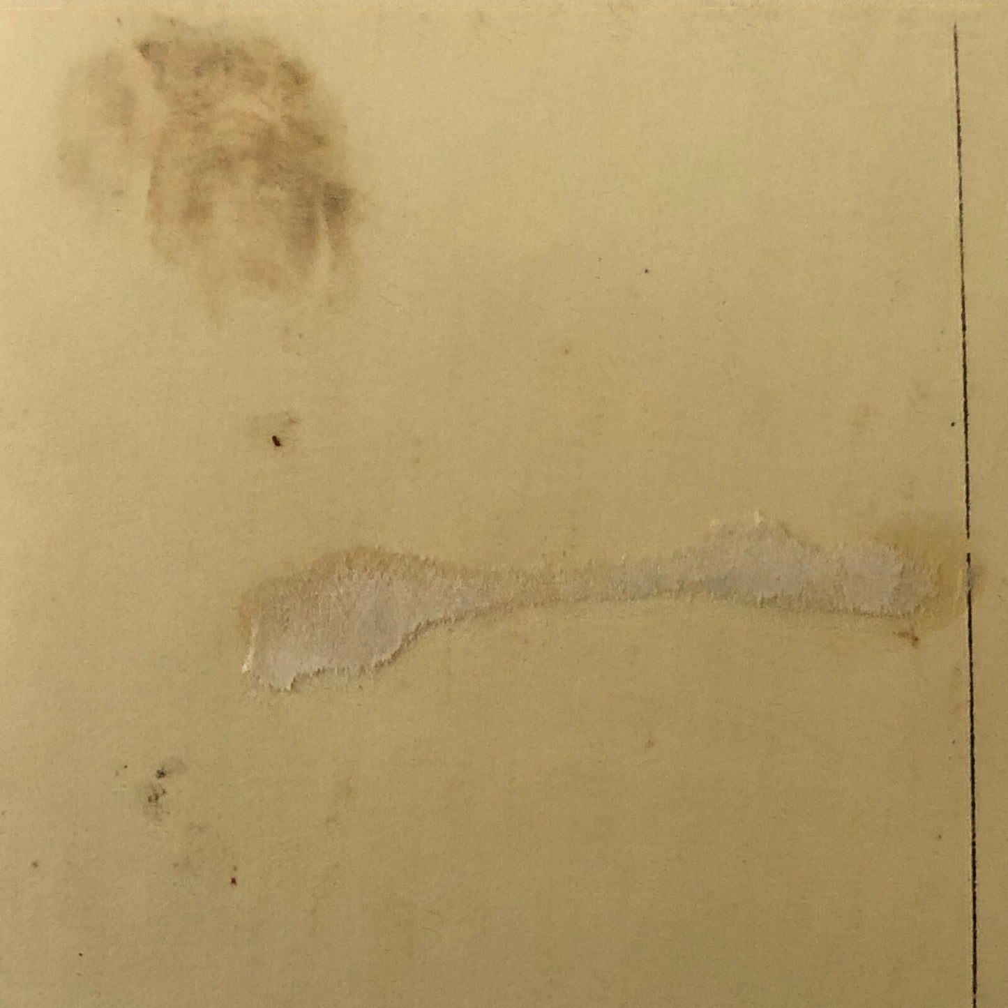 Circus Performer Act Family 8 Lias Real Photo Postcard Post Card RPPC