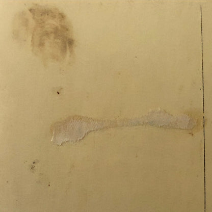 Circus Performer Act Family 8 Lias Real Photo Postcard Post Card RPPC