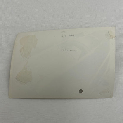 Vintage Cisitalia Car Photo Photograph Roadster Print