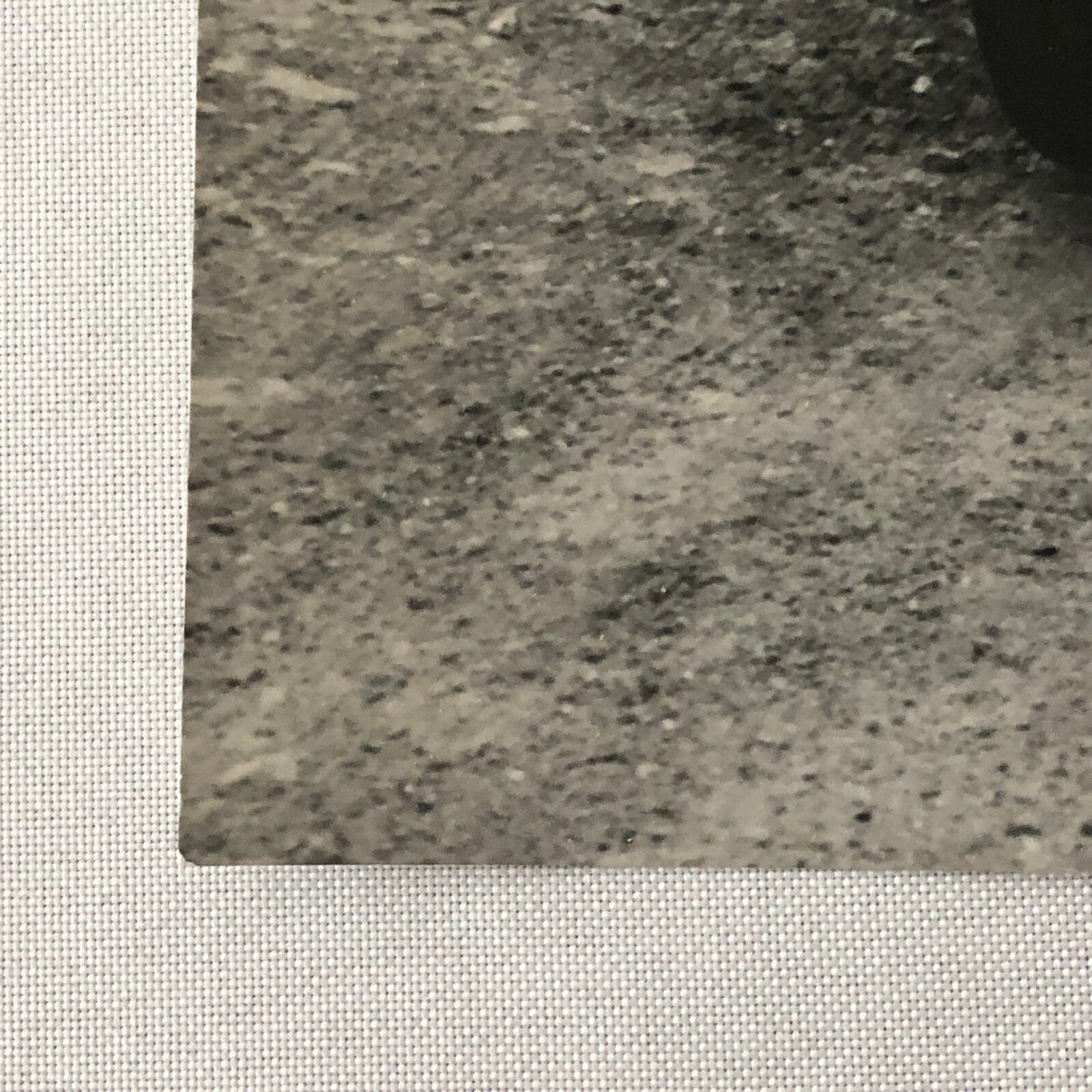 Vintage Renault Alpine Racing Car Photo Photograph Print 
