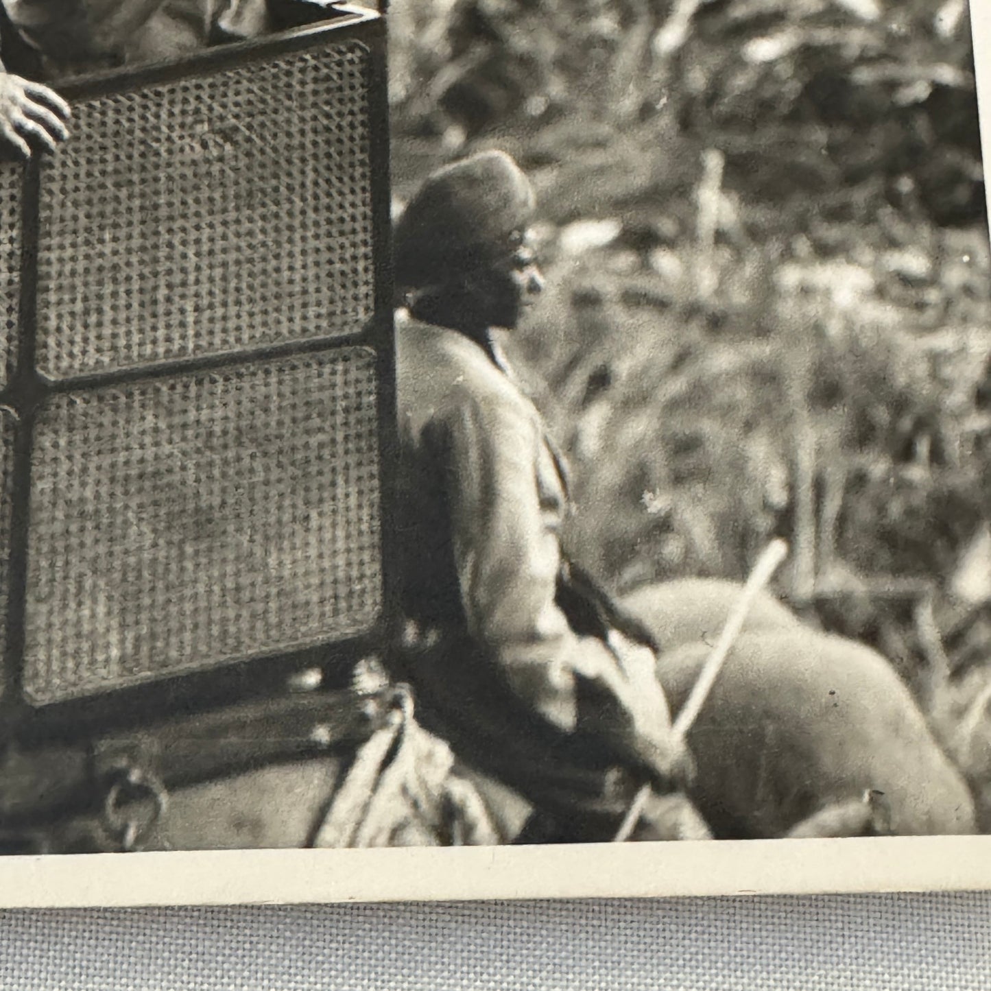 Edward Prince of Wales King Edward VIII Nepal Tiger Hunt Press Photo Photograph