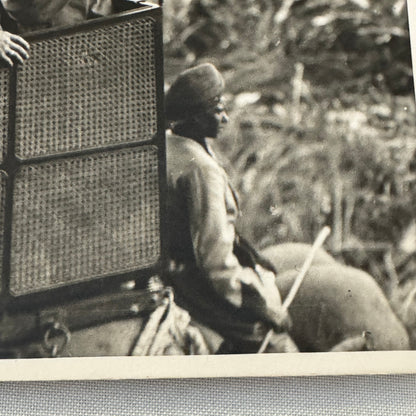 Edward Prince of Wales King Edward VIII Nepal Tiger Hunt Press Photo Photograph