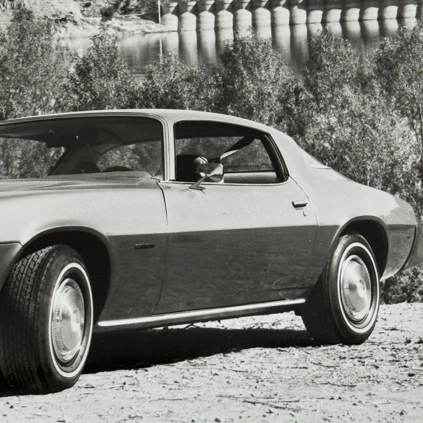 Chevrolet Camaro Vintage Photo Photograph Print Chevy 1978