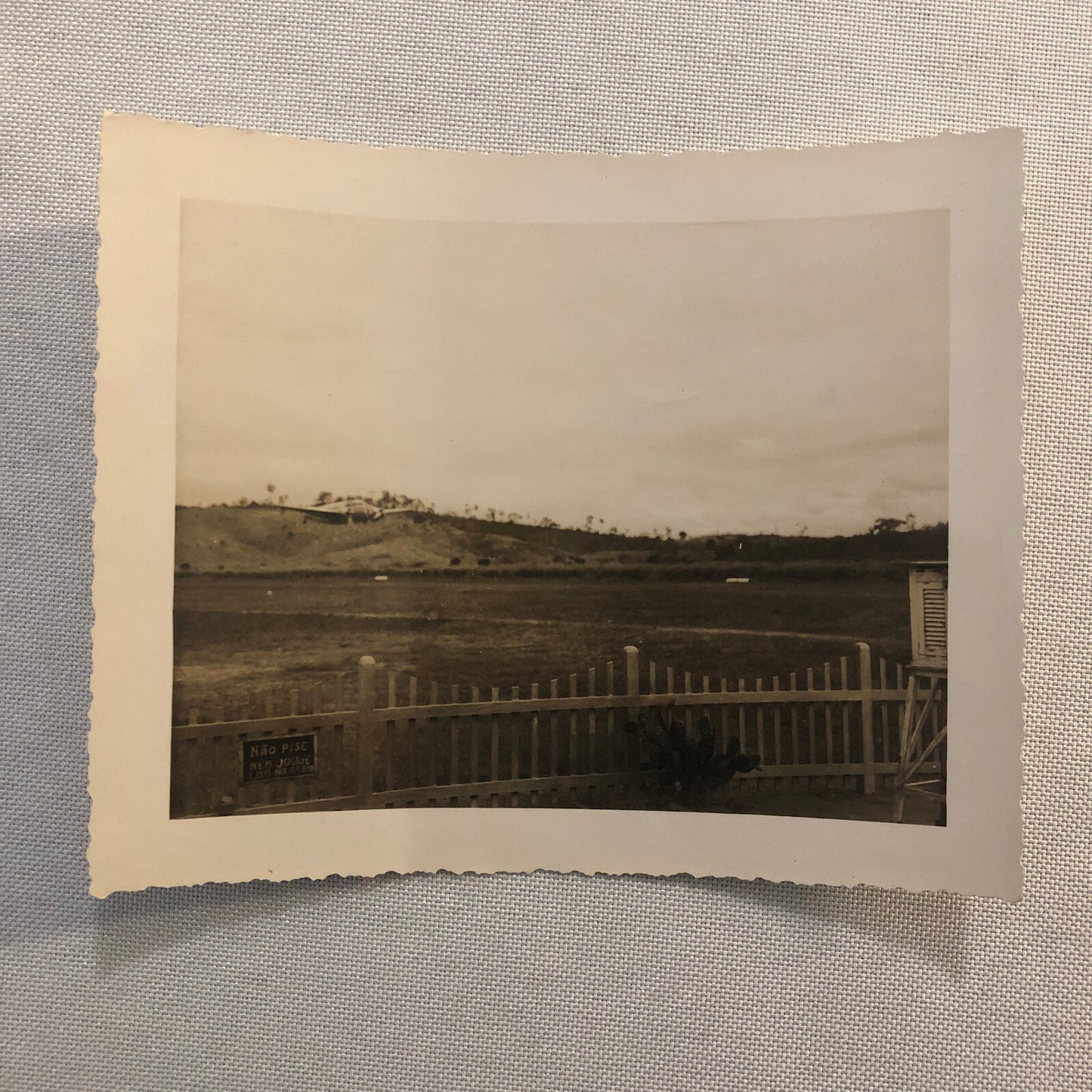 Panair Do Brasil Aircraft Airplane Plane Photo Photograph Brazil Brazilian