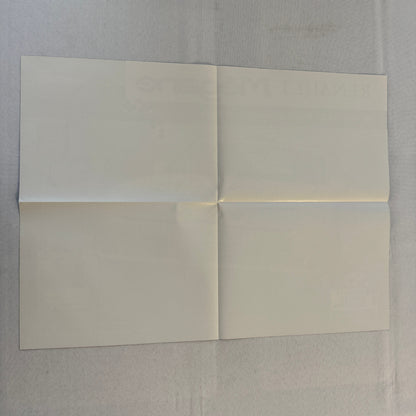 Renault Megane 1997 Pirelli International Rally Racing Poster Rallye