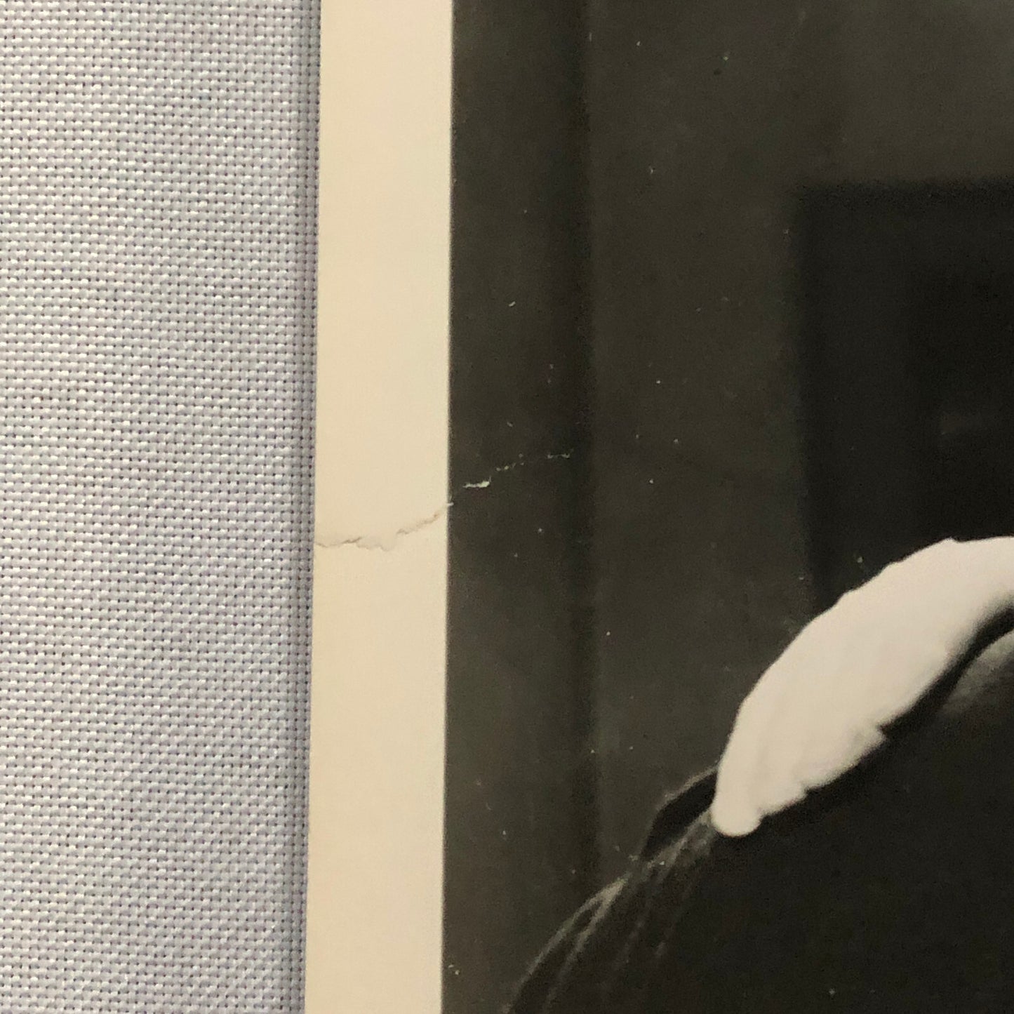 Court Martial Movie Film Still Photo Photograph David Niven Margaret Leighton