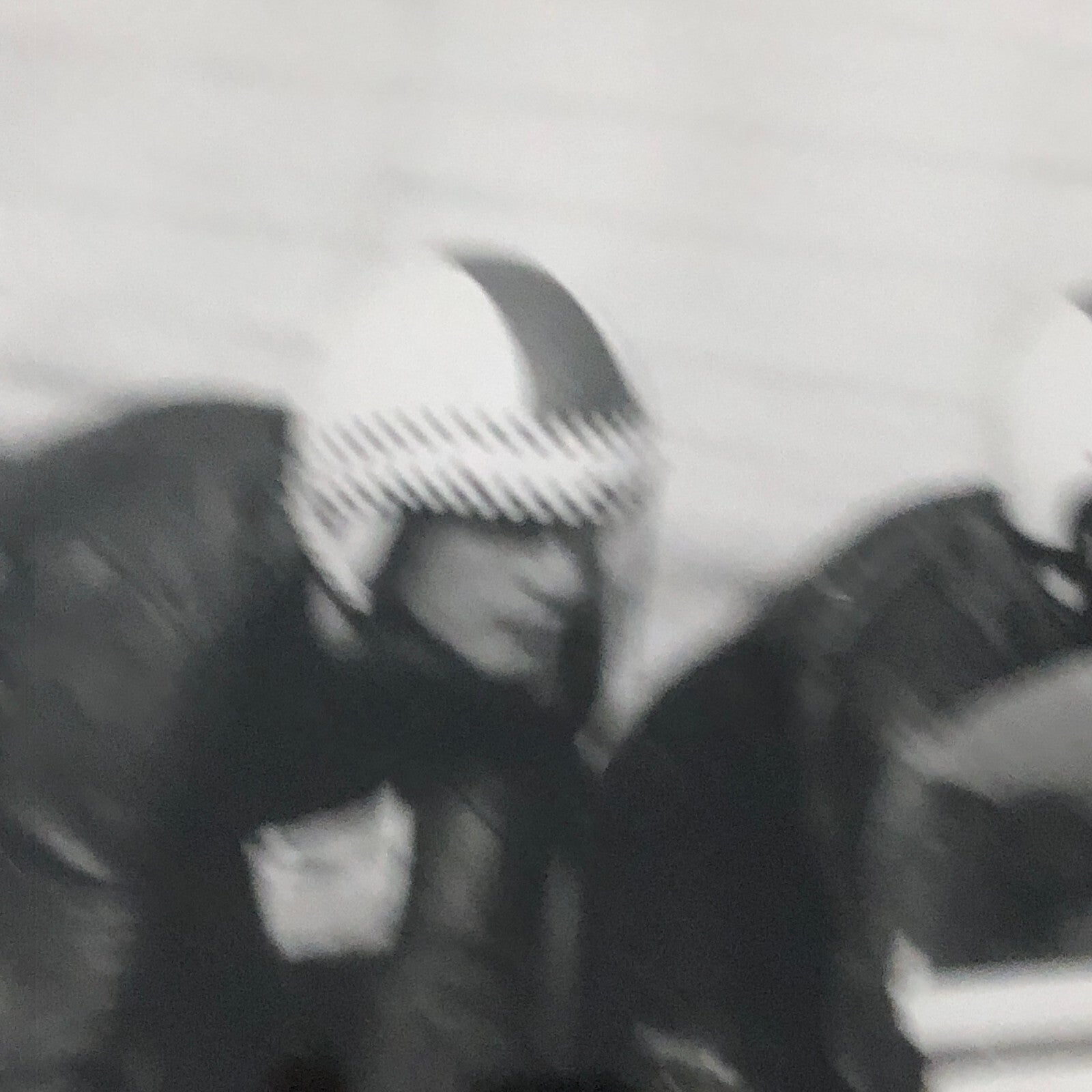 Vintage Motorcycle Racing Photo photograph BMW Sidecar Side Car Bike