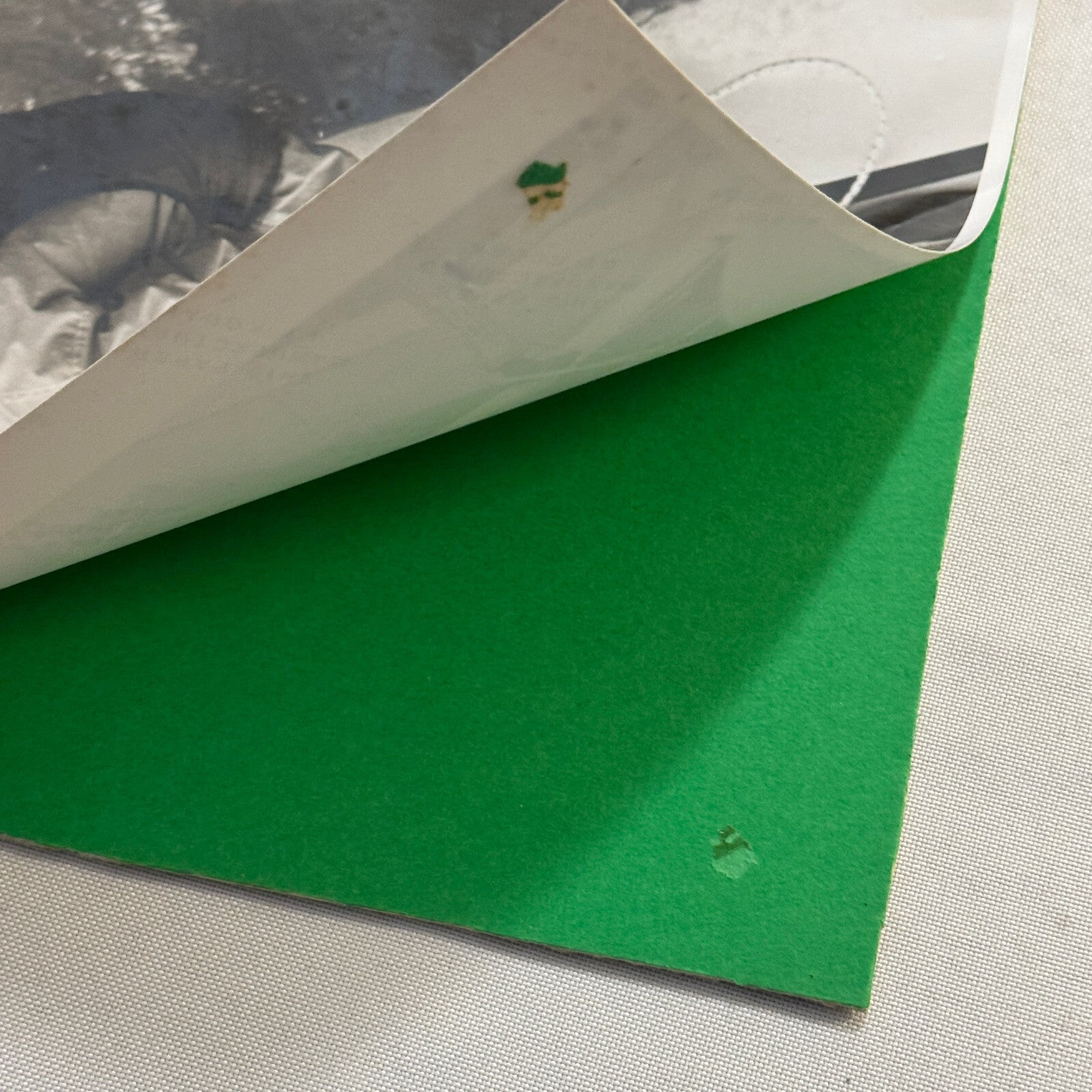 Sailing Boat Race Racing Regatta Sailor Photo Photograph Print