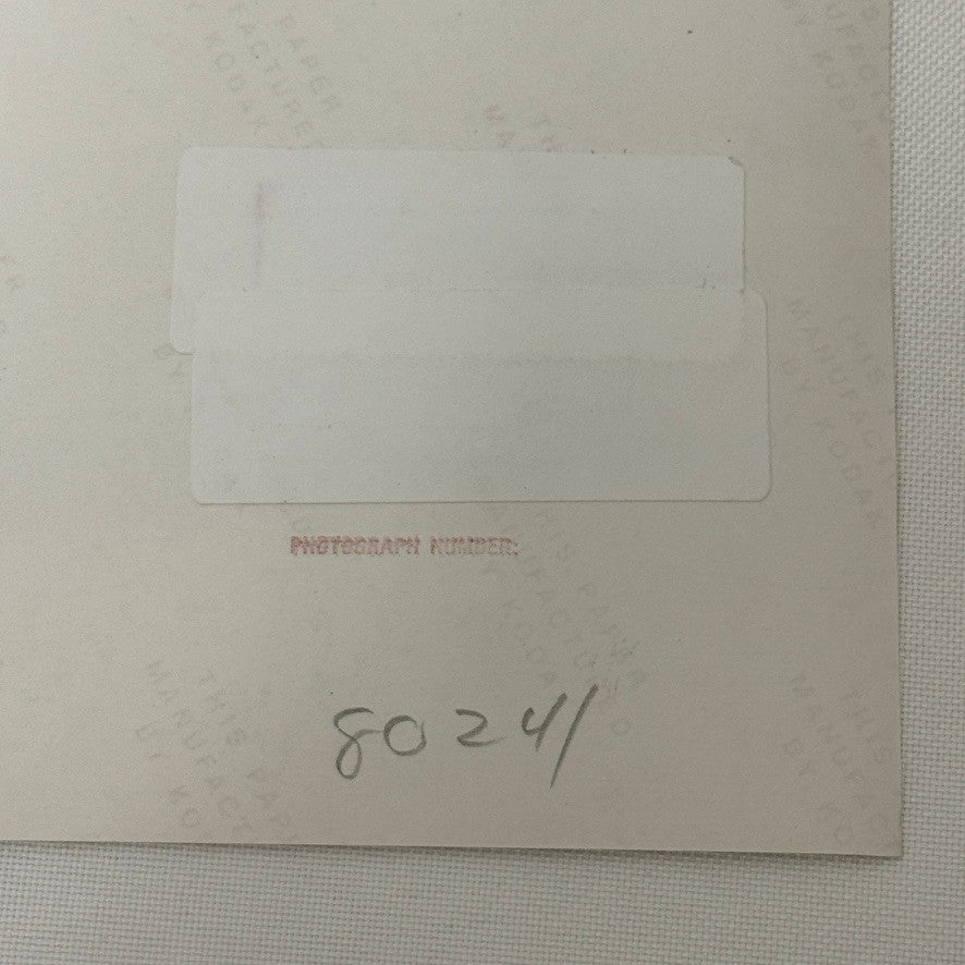 Vintage Ford Thunderbird Car Automobile Photo Photograph Modern Print