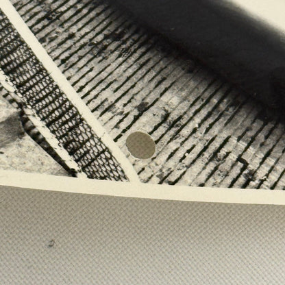 Vintage Cisitalia Car Photo Photograph Roadster Print