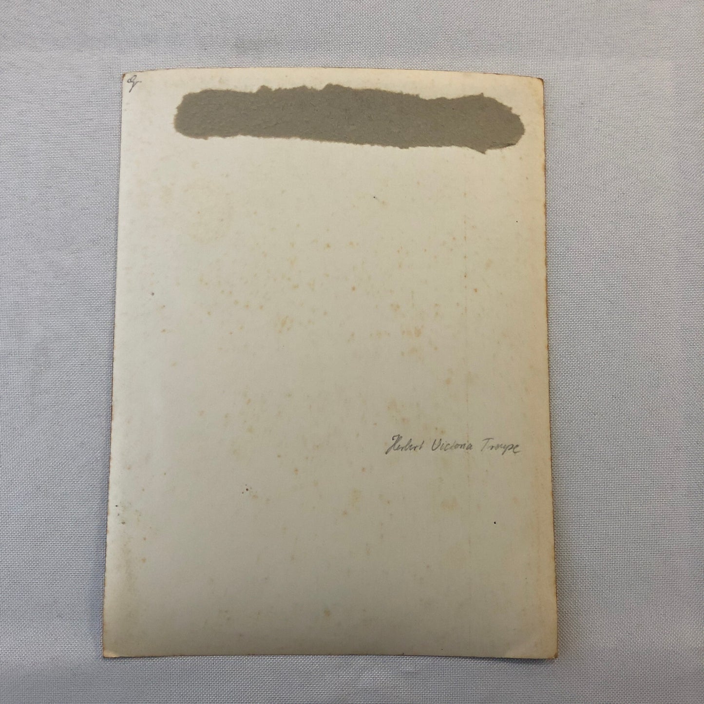 Circus Troupe Performers Bicycle Acrobat Photo Photograph Print Vintage