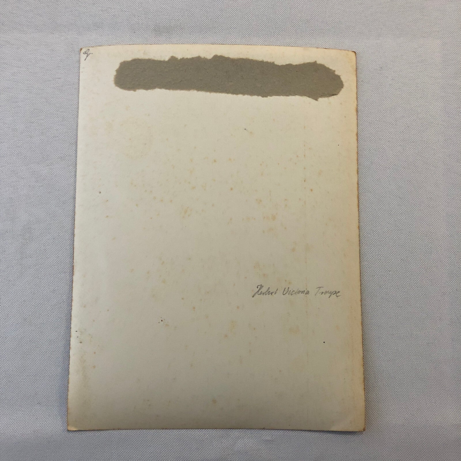 Circus Troupe Performers Bicycle Acrobat Photo Photograph Print Vintage