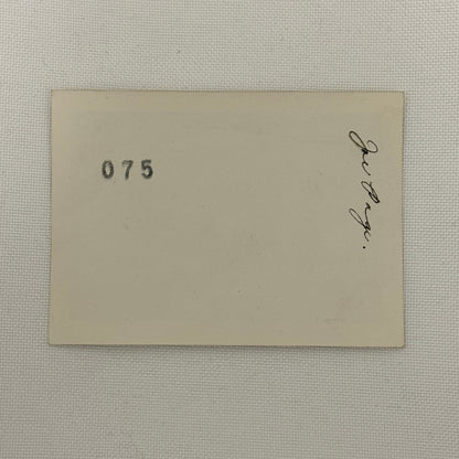 1950 New York Yankees Joe Page Pitcher Photo Photograph Snapshot Baseball NY