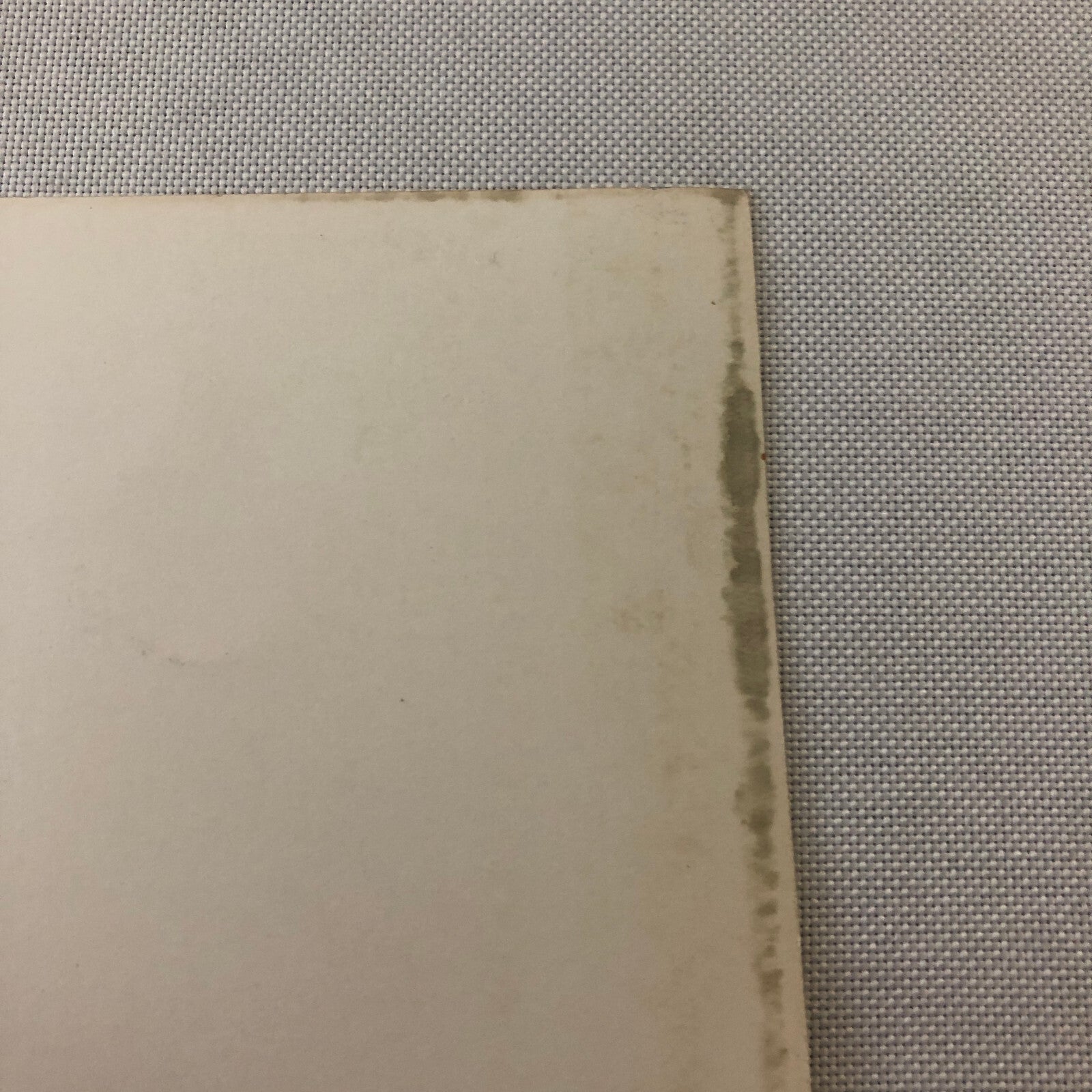 Circus Performers with Bicycle in Costume Vintage Photo Photograph