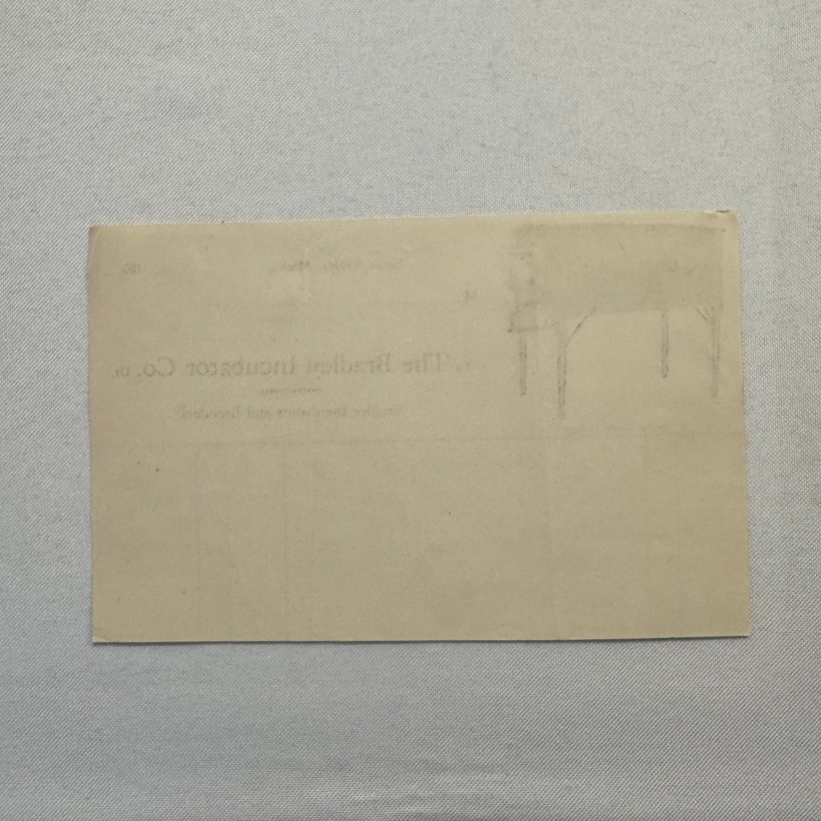 The Bradley Inubator Company Letterhead Invoice Document 1908 Eaton Rapids MI