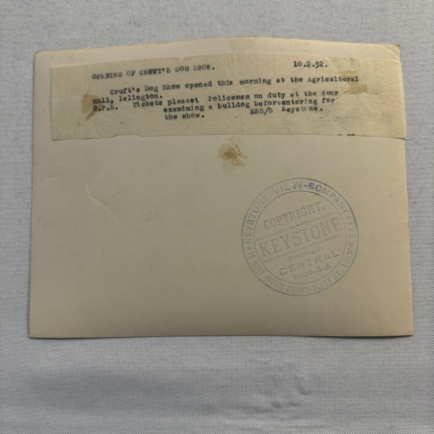 1932 British Dog Show Keystone Press Photo Photograph Crufts Dog Show