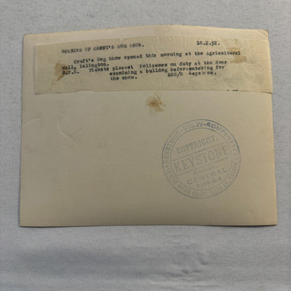 1932 British Dog Show Keystone Press Photo Photograph Crufts Dog Show