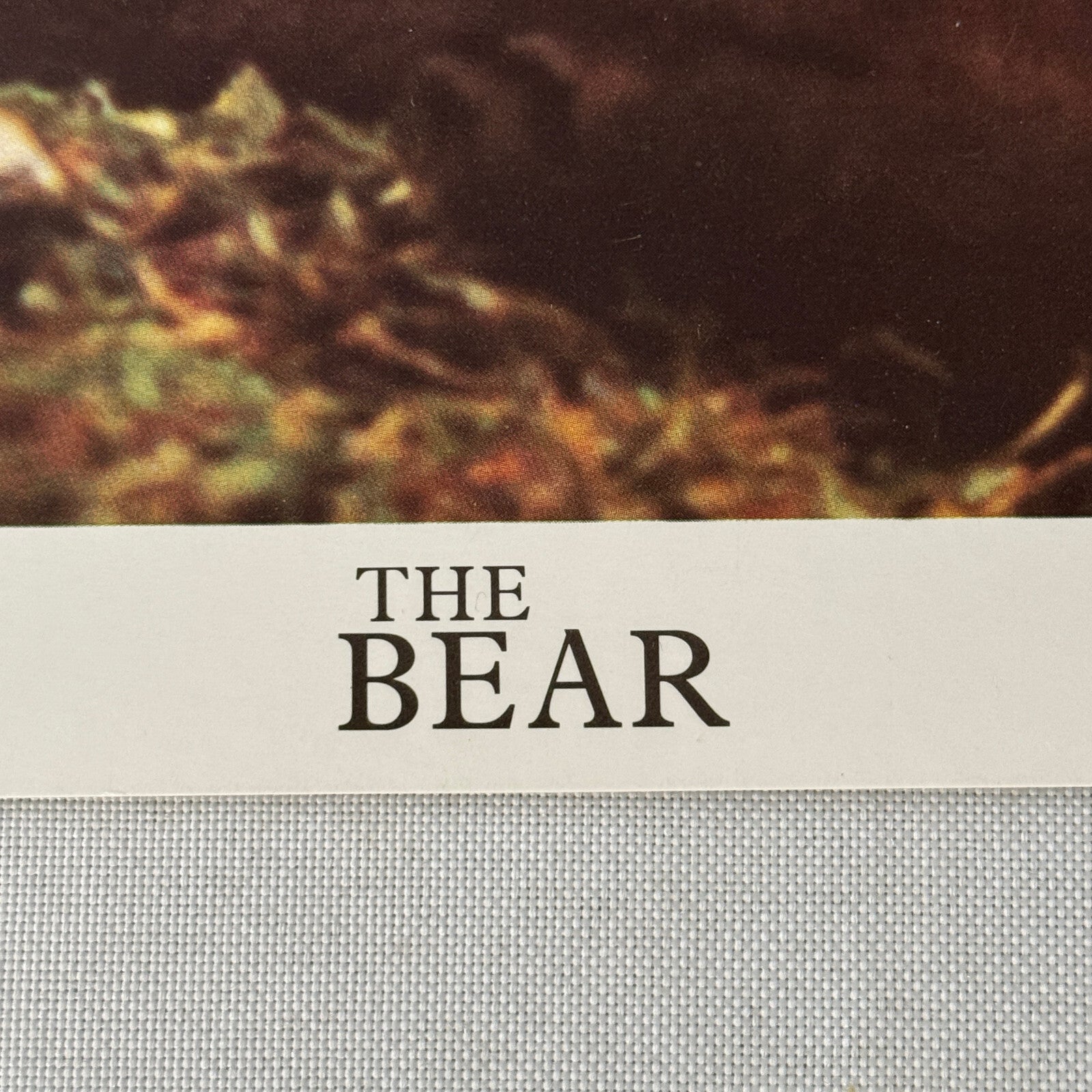 Vintage Movie Film Lobby Card The Bear Tri Star Release 1989