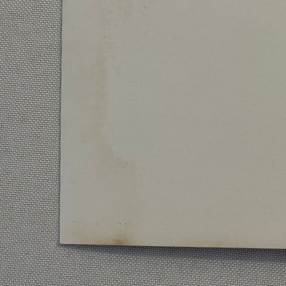 Porsche 356 Car with Dog Photo Photograph Vintage