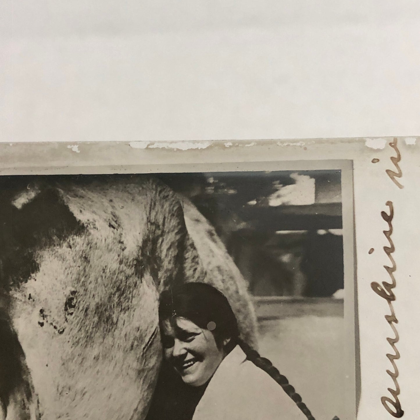Antique Glass Plate Photo Slide Positive Woman Milking Cow Farm Barn