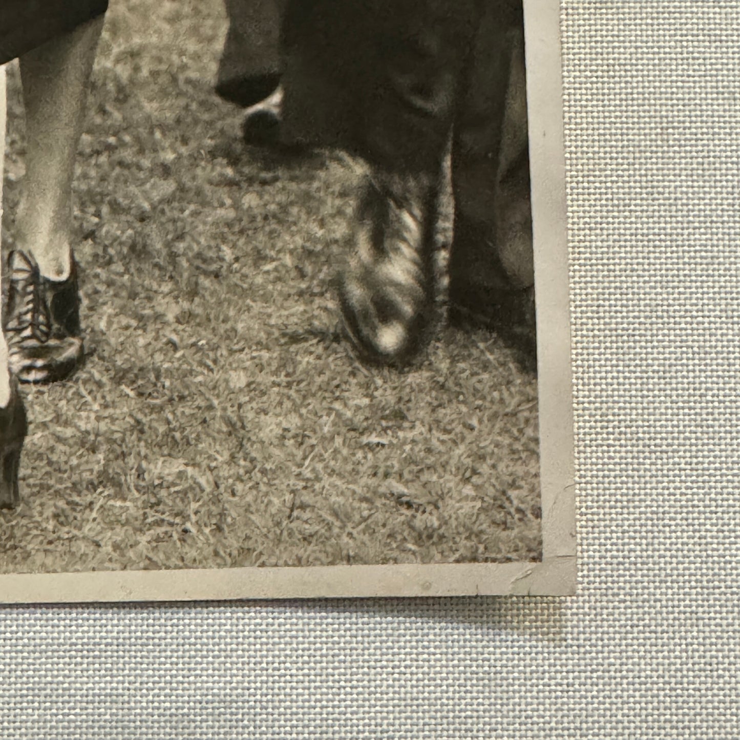 Beautiful Society Woman at Aintree Great Britain UK Press Photo Photograph 1933