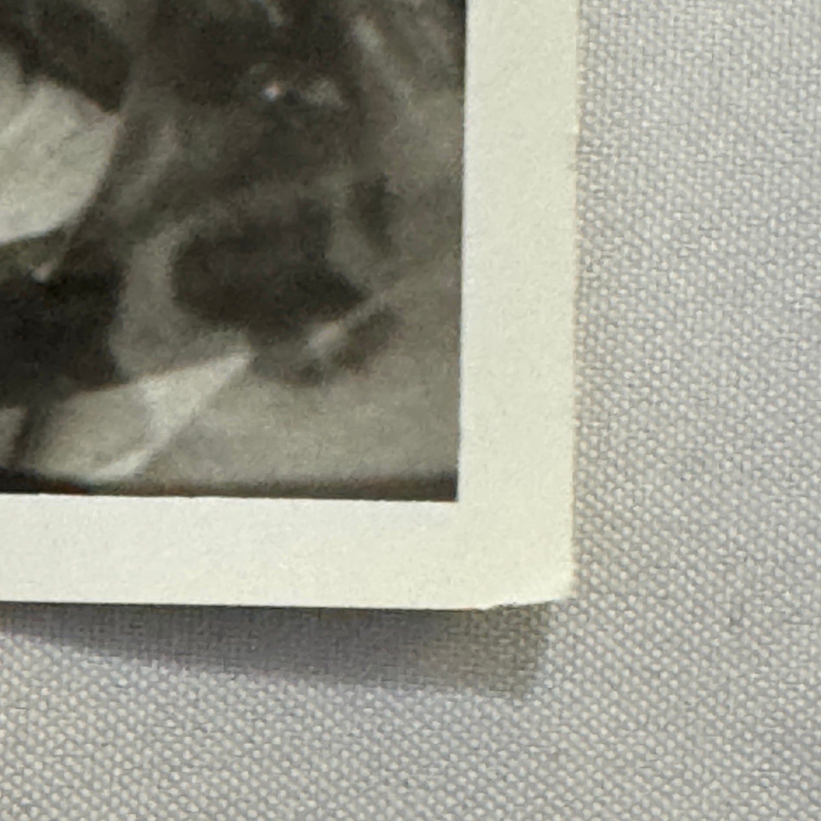 Vintage Racing Photo 1968 Jochen Rindt Racing Driver Motorsport