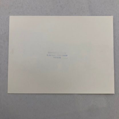 1980 Transafrica Rally Rallye Photo Photograph DPPI Car Africa