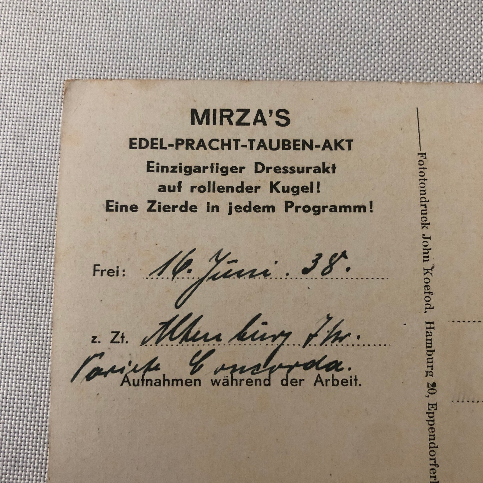 Circus Bird Training Act Postcard Post Card Vintage Mirza's Pracht Tauben Akt