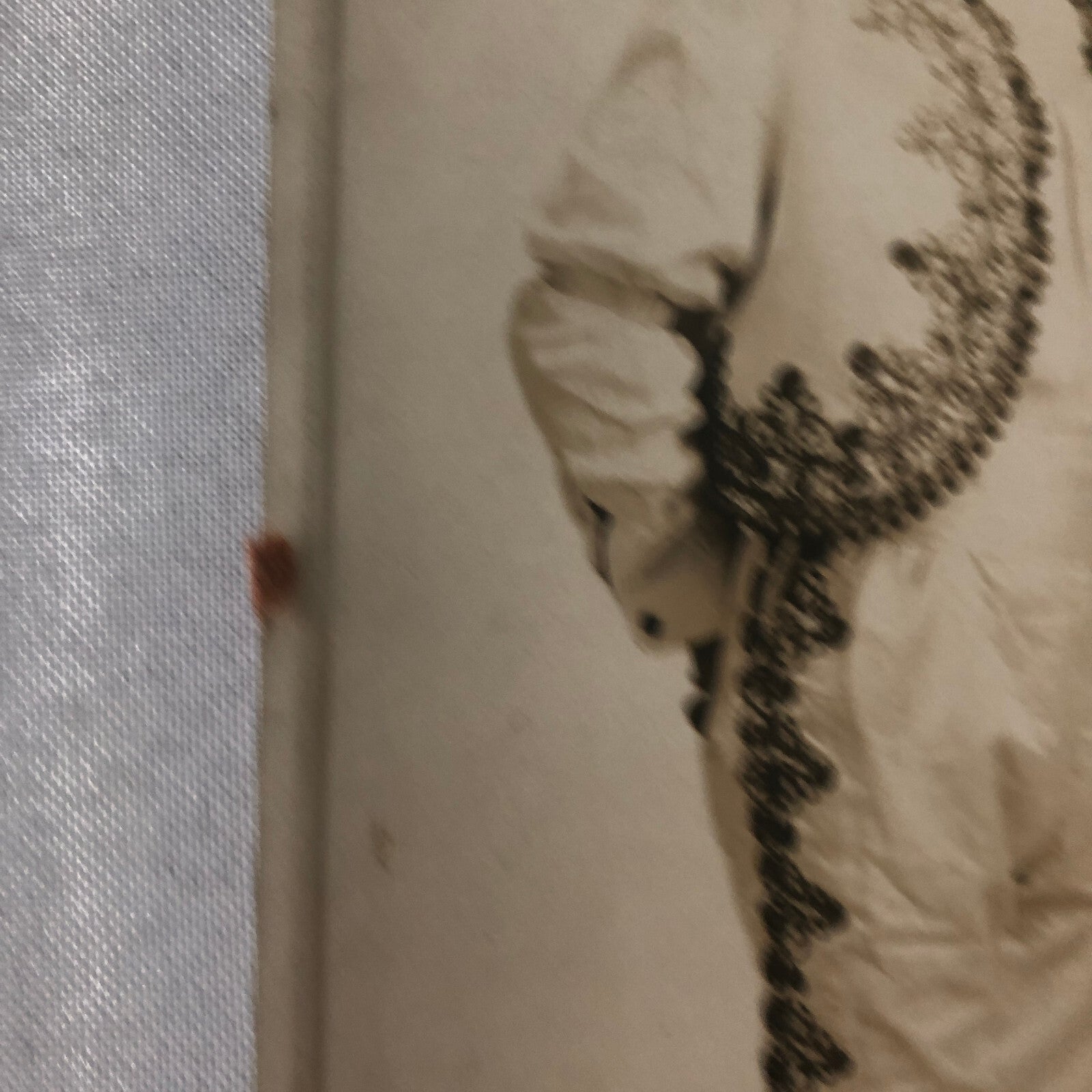 Circus Performer Dancer Acrobat Evans and Sister Photo Photograph Vintage