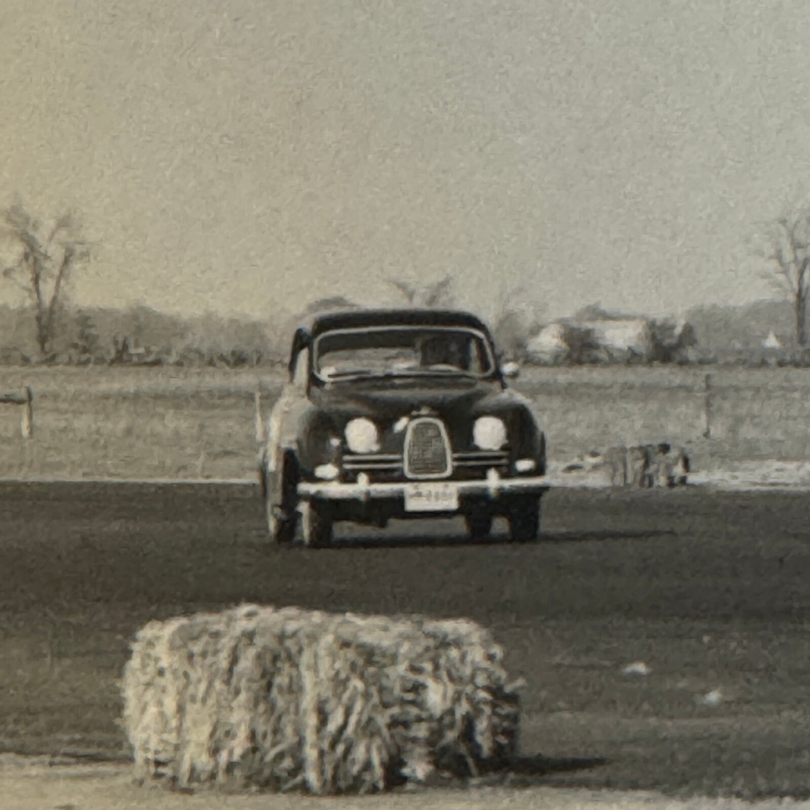 Vintage Saab Racing Car Photo Photograph Print