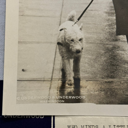 1933 Press Photo Photograph Daughter of Belgian Ambassador Walking Dog in Rain