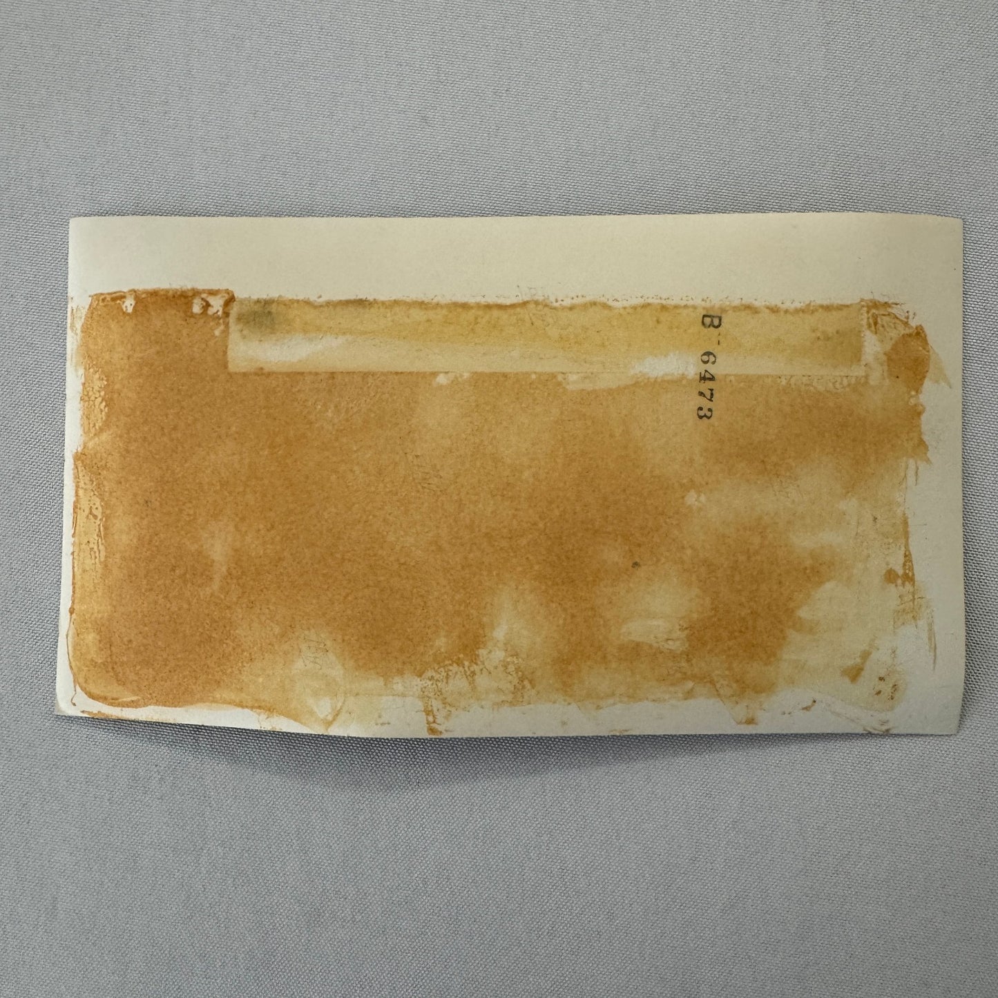 Vintage Lotus Racing Photo Photograph Print Motorsport