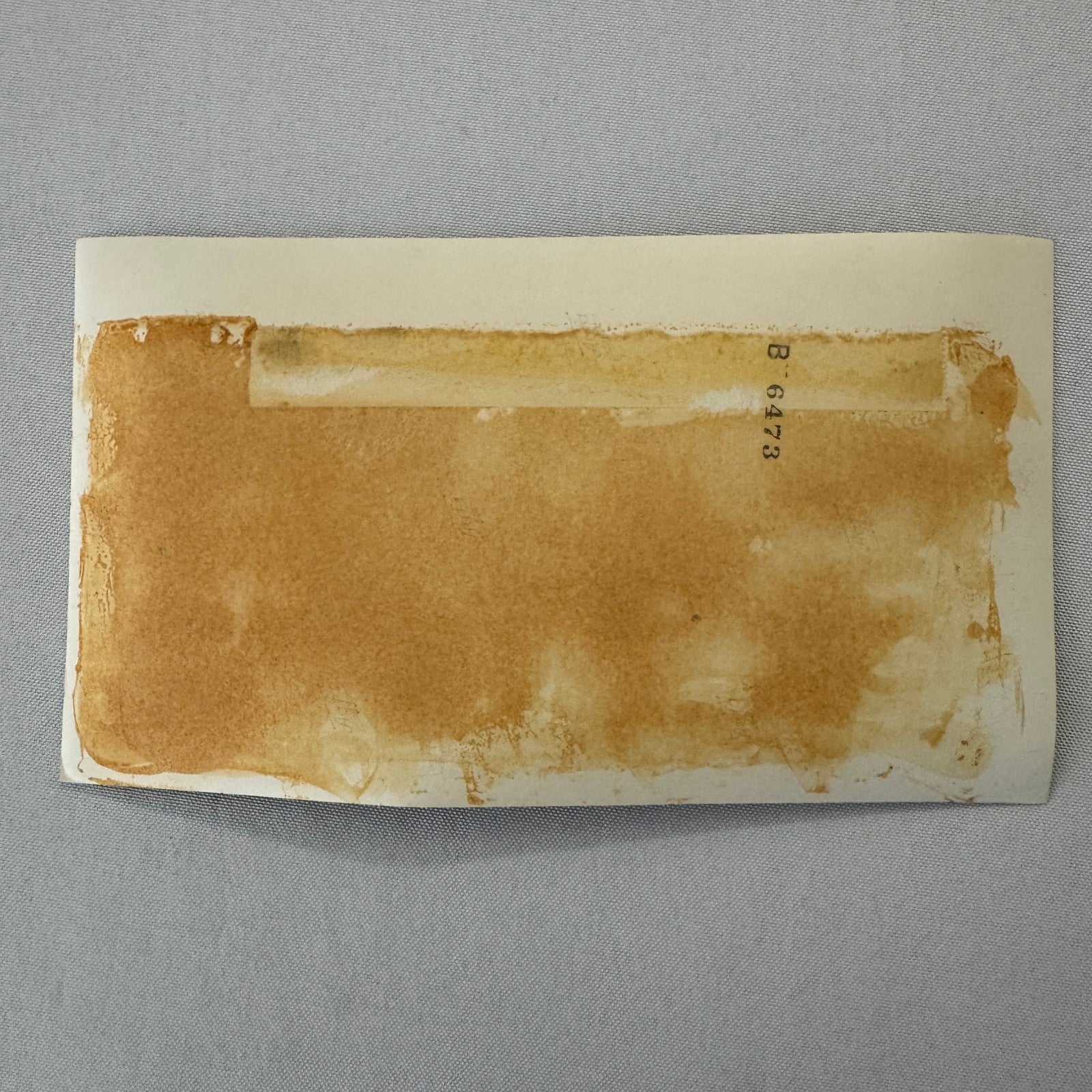 Vintage Lotus Racing Photo Photograph Print Motorsport