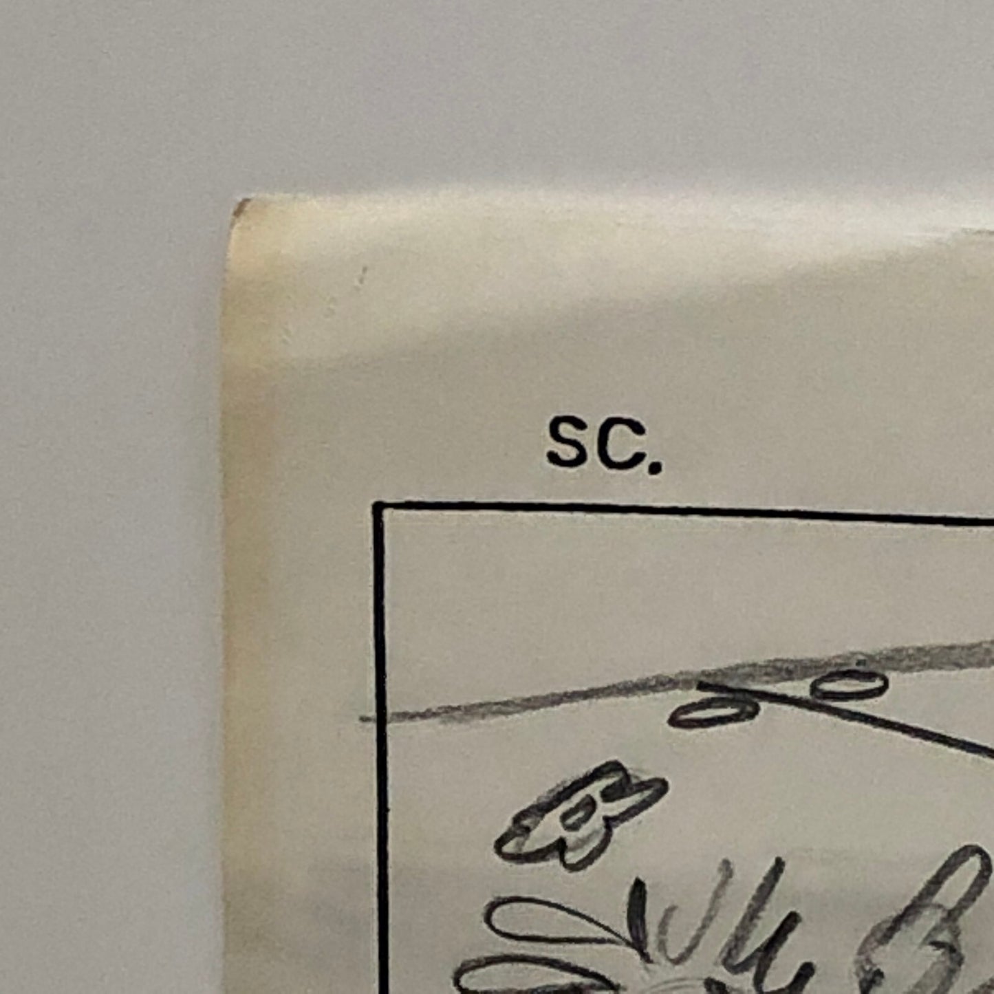 ANIMANIACS Animation Storyboard Illustration Drawing Sketch Story Board Art