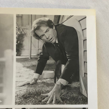 Walt Disney Channel The Shaggy D.A. Dog 1976 Press Photo Photograph Movie Film