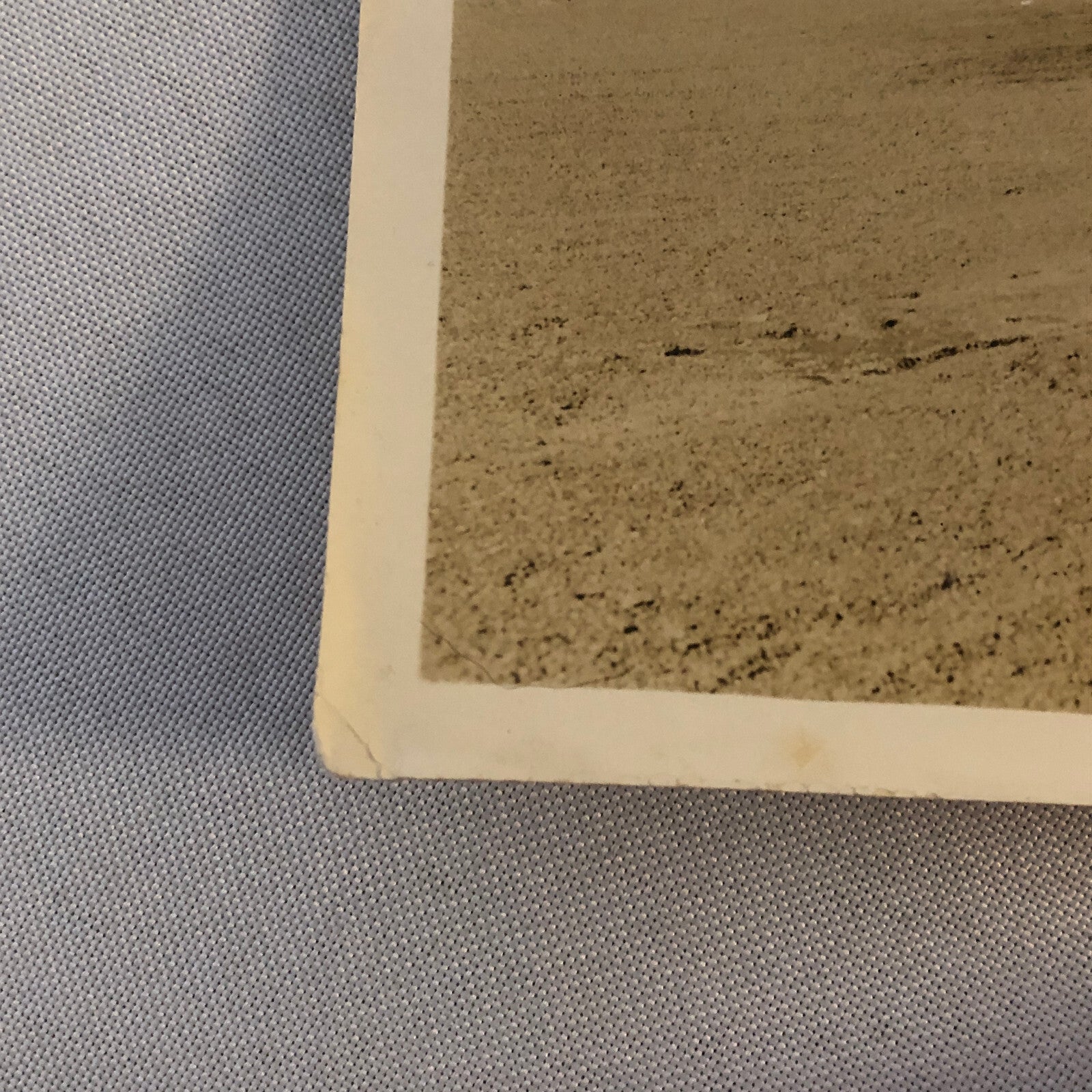 Vintage Seaplane Sea Plane Airplane Aircraft Aviation Photo Photograph Sikorsky