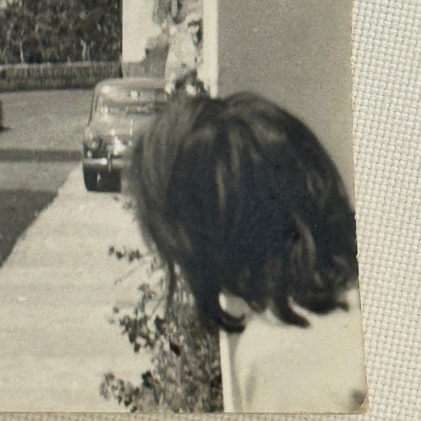 Vintage Racing Car Photo Photograph Print Motorsport