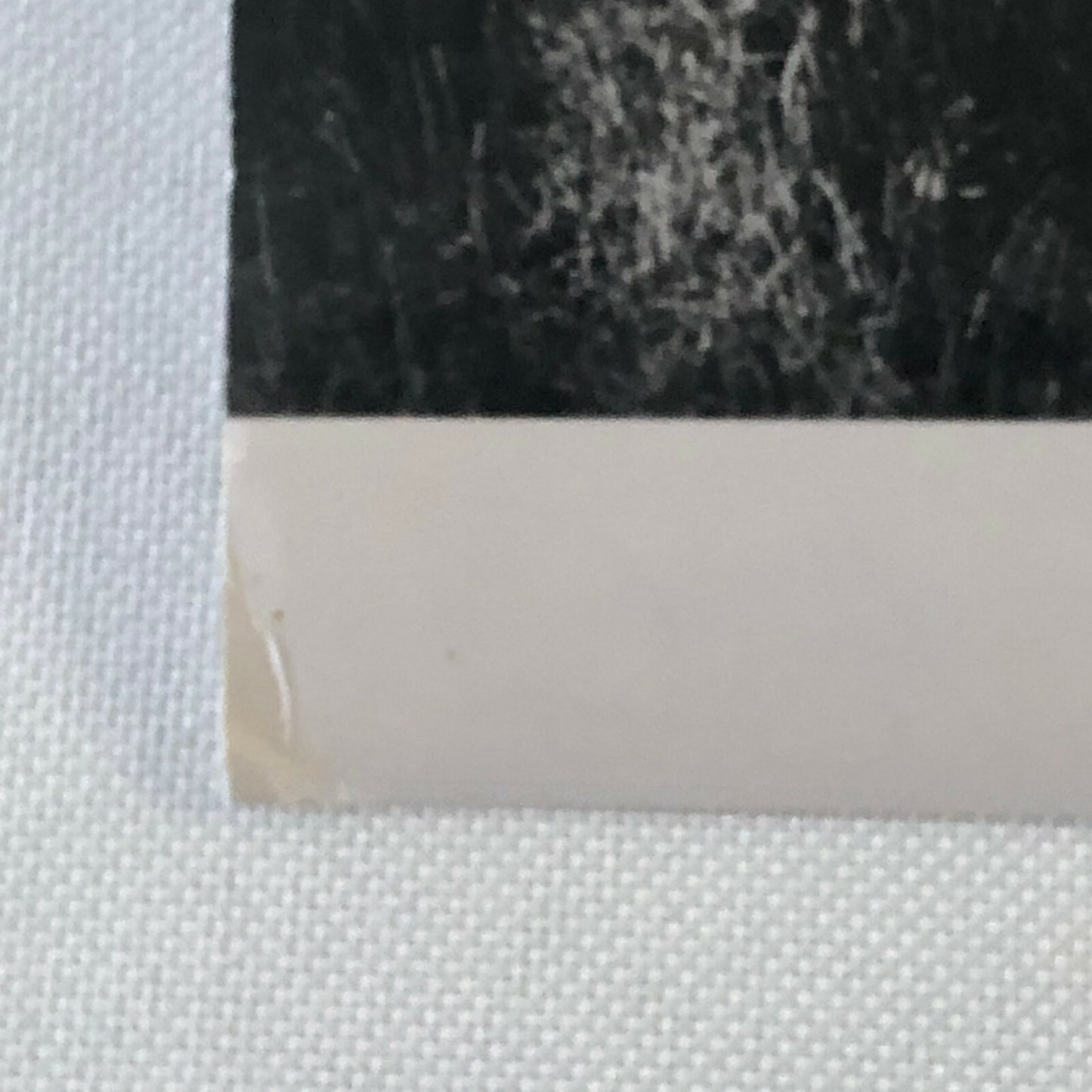 Vintage Racing Photo Photograph Juan Manuel Fangio & Karl Kling Mercedes Reims 