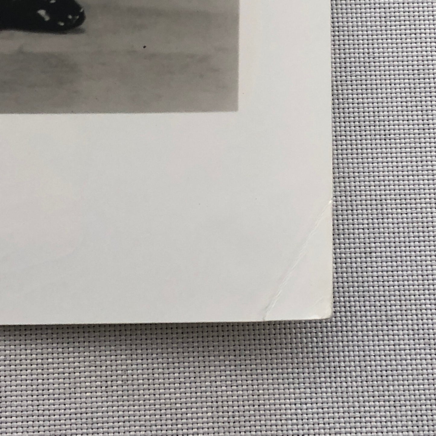 Fred Astaire & Ginger Rogers Movie Still Photo Photograph Modern Print