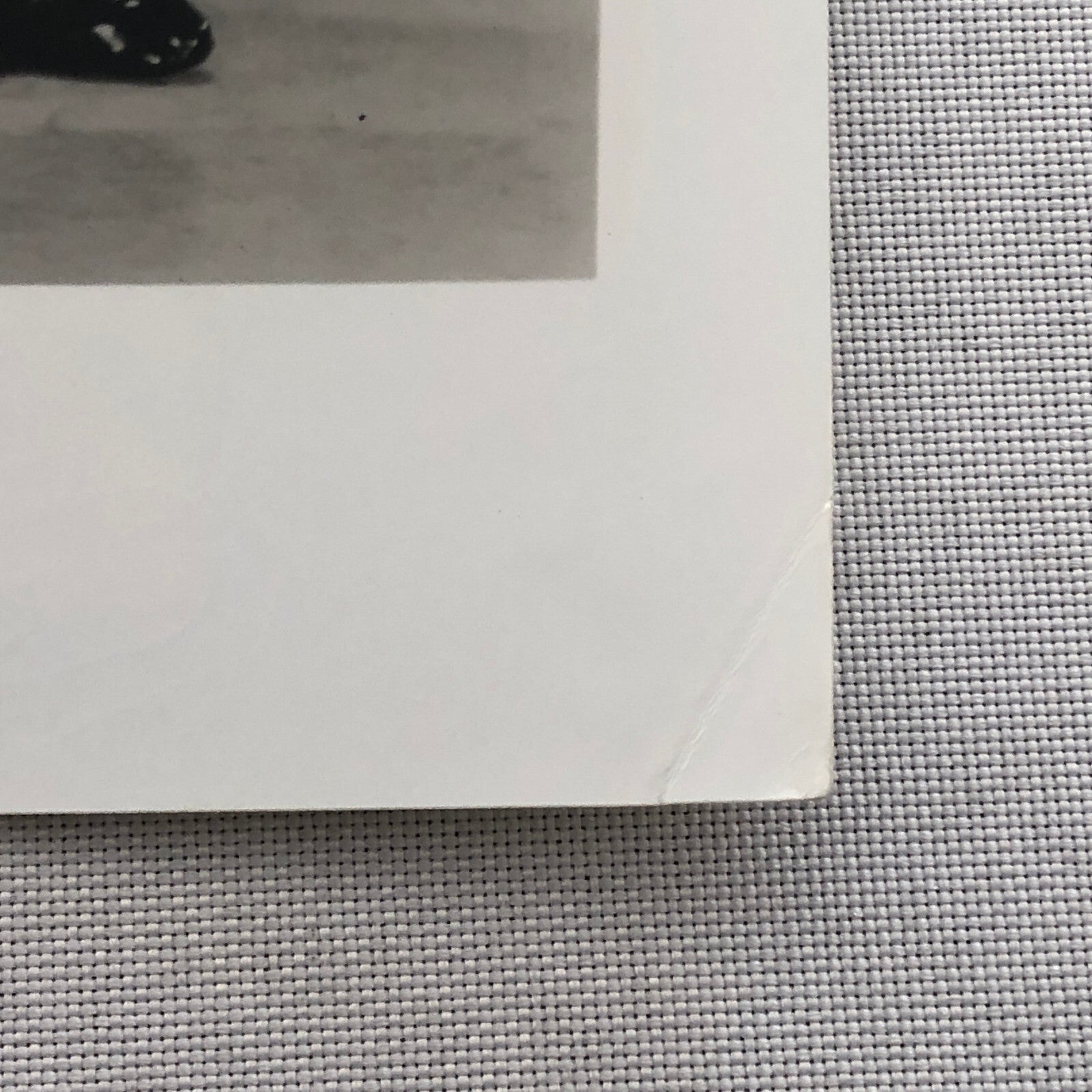 Fred Astaire & Ginger Rogers Movie Still Photo Photograph Modern Print