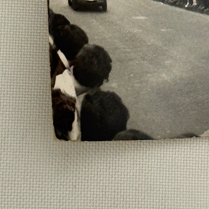 Vintage Racing Car Photo Automobile Motorsport Photograph Print