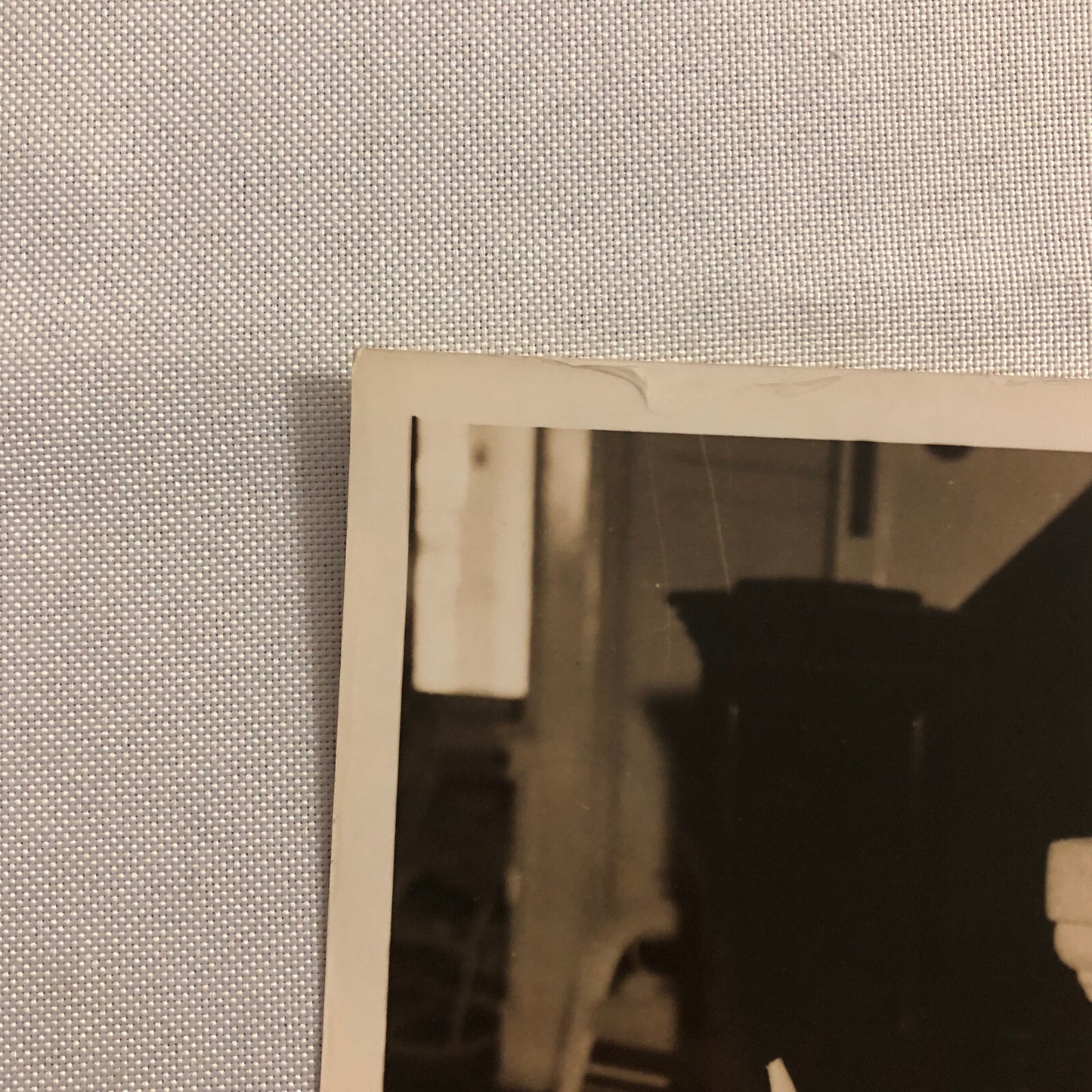 Press Photo Photograph Beulah Croker Widow of Tammany Chieftain Richard Croker