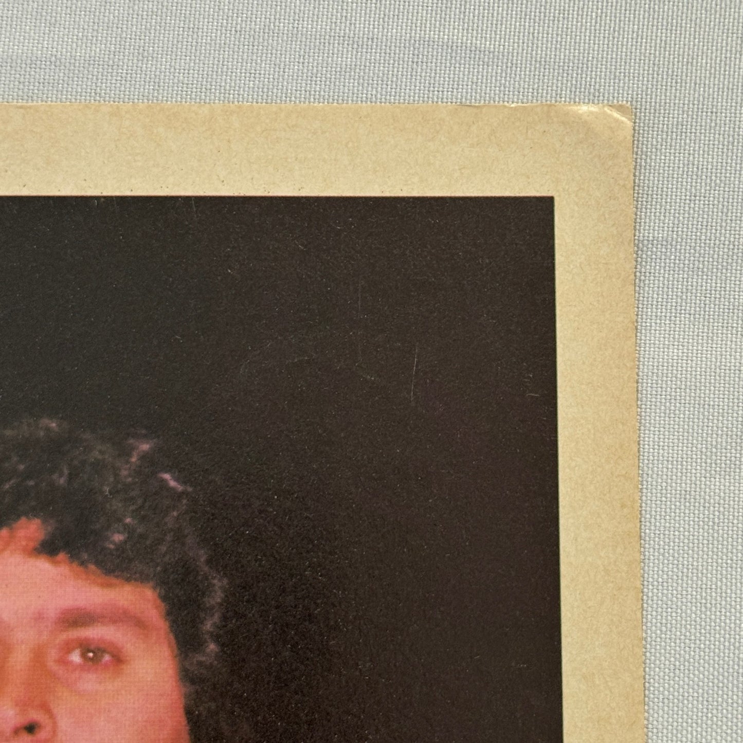 Vintage Wrestling Print Insert Dino Bravo Quebec French 1983