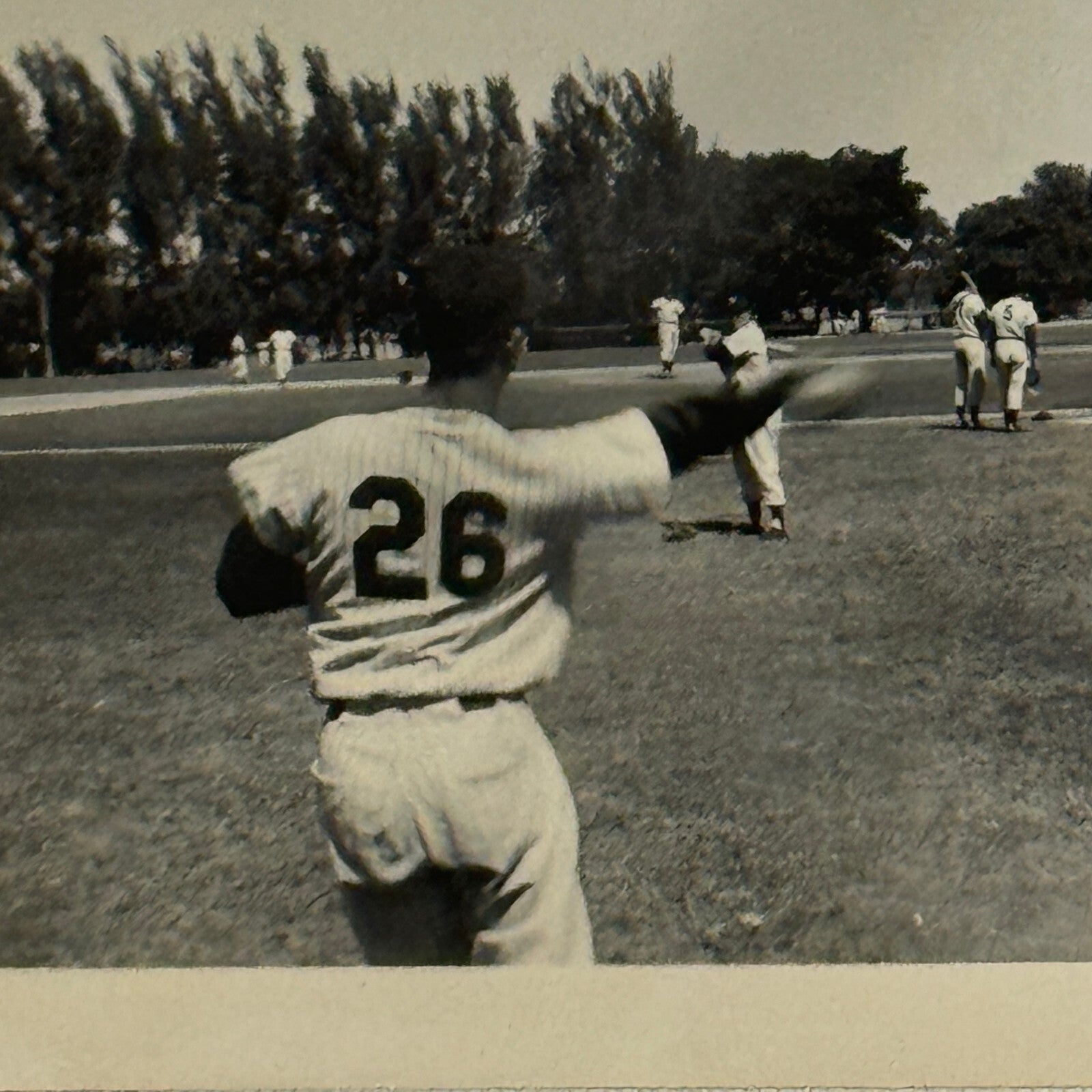 1950 New York Yankees Photo Photograph Snapshot Baseball NY Johnson Marshall