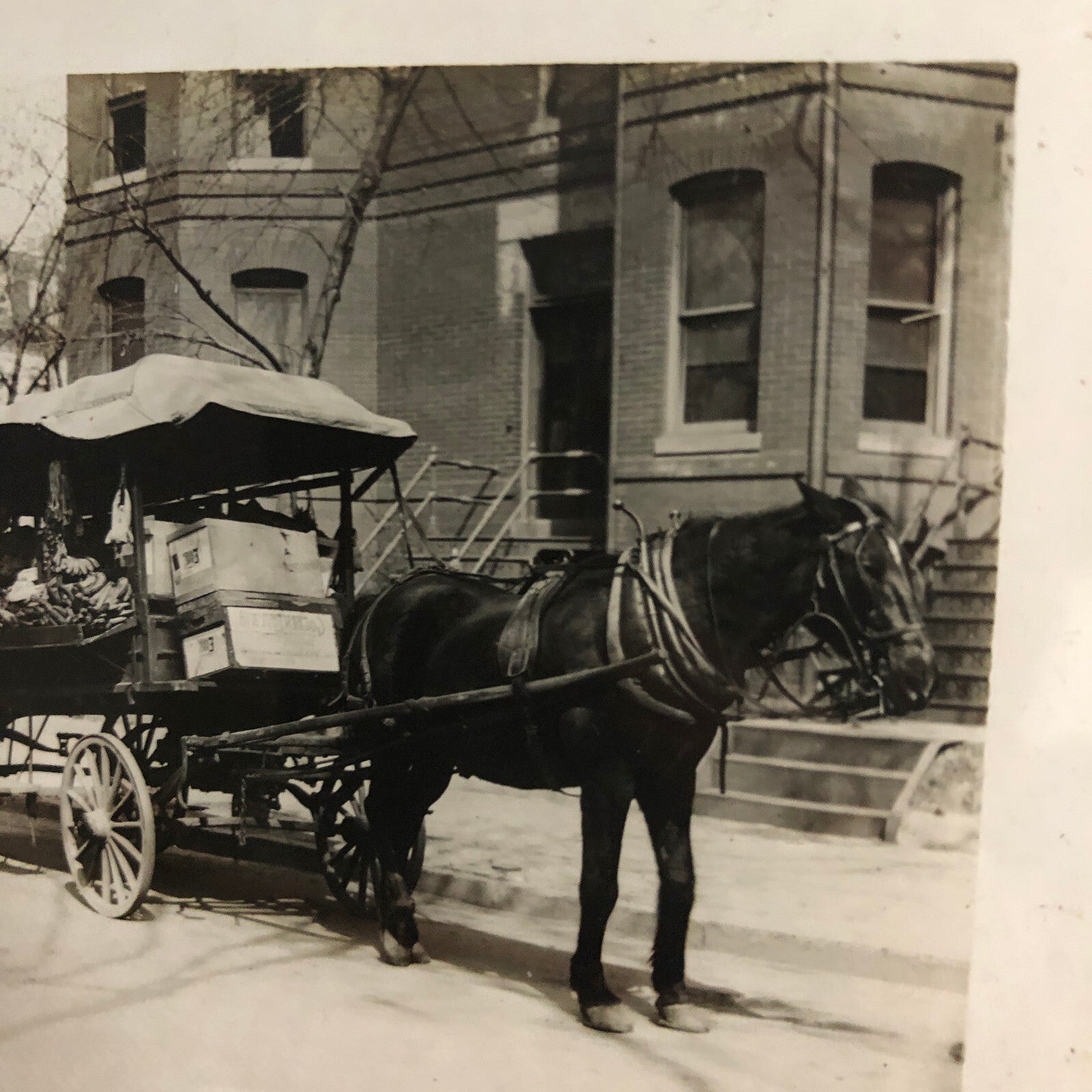 Antique Glass Plate Lantern Slide Photo Horse Drawn Wagon Vendor Cart